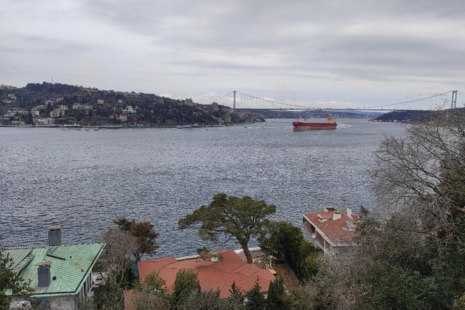 Full Day Istanbul Bosphorus Cruise and Dolmabahce Palace Tour with Private Guide - Private guide value: efficiency, context, and fewer headaches