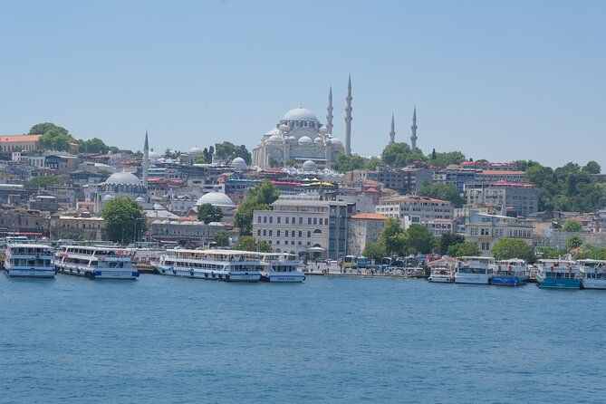 Full Day Istanbul Bosphorus Cruise and Dolmabahce Palace Tour with Private Guide - What to expect step-by-step (without the guesswork)